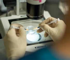 黄体酮胶囊对比黄体酮片:区别有3点,别再傻傻分不清了